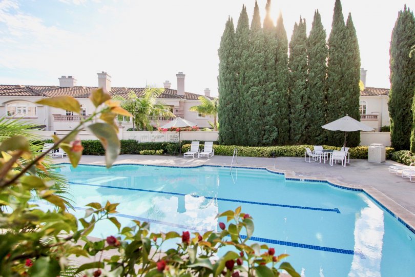 Large swimming pool with ample deck space and tall mature trees for privacy at Casabella in University City, CA