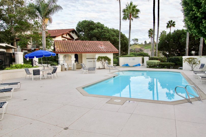 A relaxed and sanguine poolside amidst statuesque palms at La Paz, University City, California
