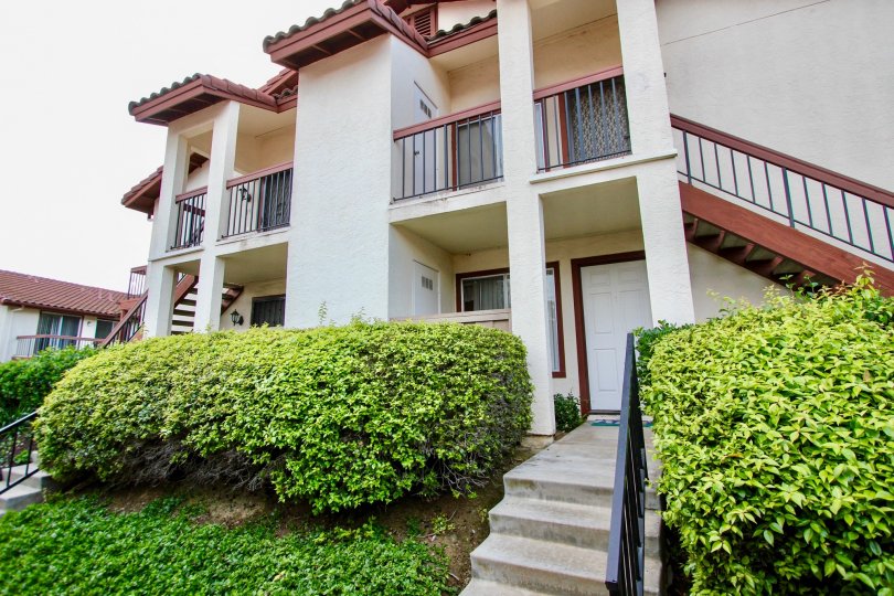 The Porte La Paz complex is a beautiful, quiet condominium complex. Even though the freeway is right next door, you can barely hear it. The landscaping is nice, and we even have our resident pair of wild rabbits! Some of the HOA rules are a little crazy, 