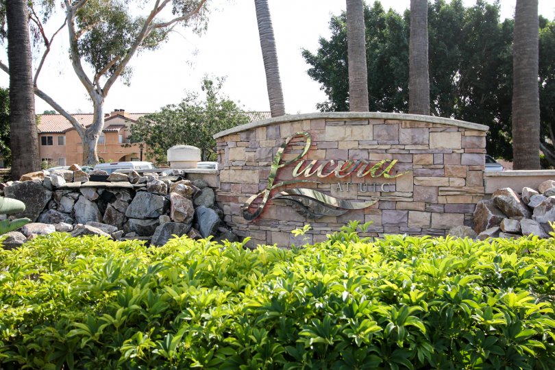 The wall is placed beyond the bushes mentioned Lucera AT UTC build with rocks