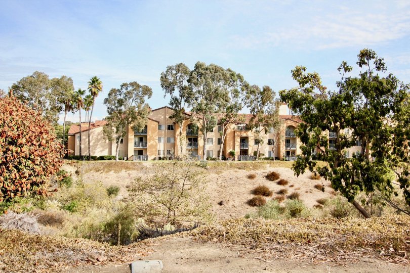 Unique landscaping at Lucera in University City, California.