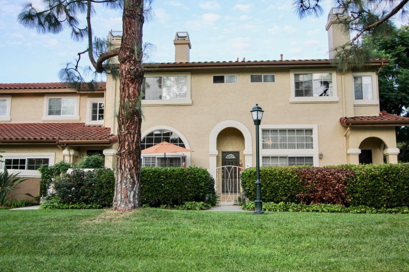 A green lawn with a tall tree and a lamppost before a house in Madrid neighborhood