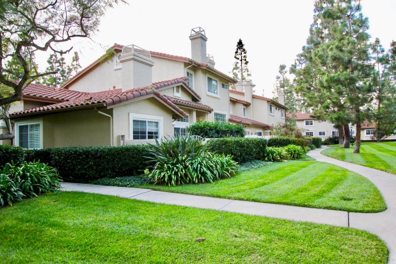 Condominiums near a yard at Madrid in University City California
