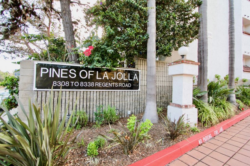 Beautiful and fun loving in Pines of La Jolla at University City in California