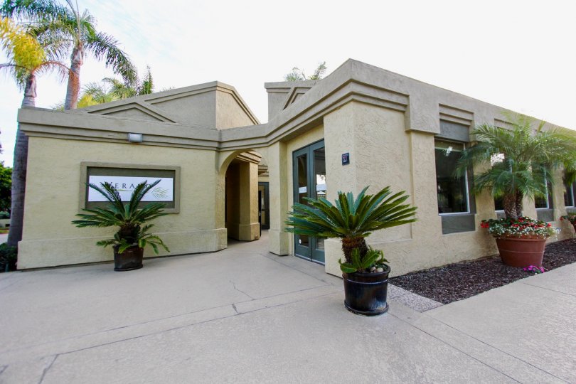 Awesome clean and neat front view with plants and tree in front of Verano