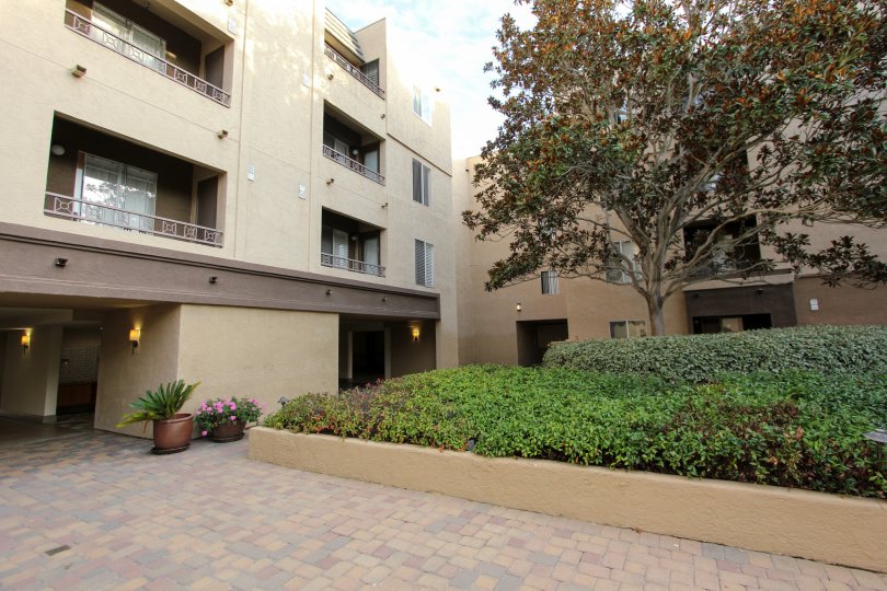 Villa Vicenza , University City  , California, brown building, plants