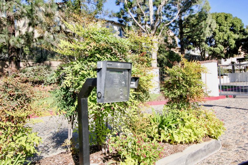 A sunny day in the area of Copper Hill, entrance buzzer. gate, tree