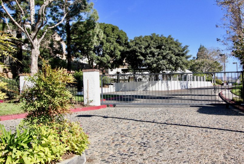 A black gate facing to a street with some large trees in the background during a sunny day in Copper Hill, Vista, CA