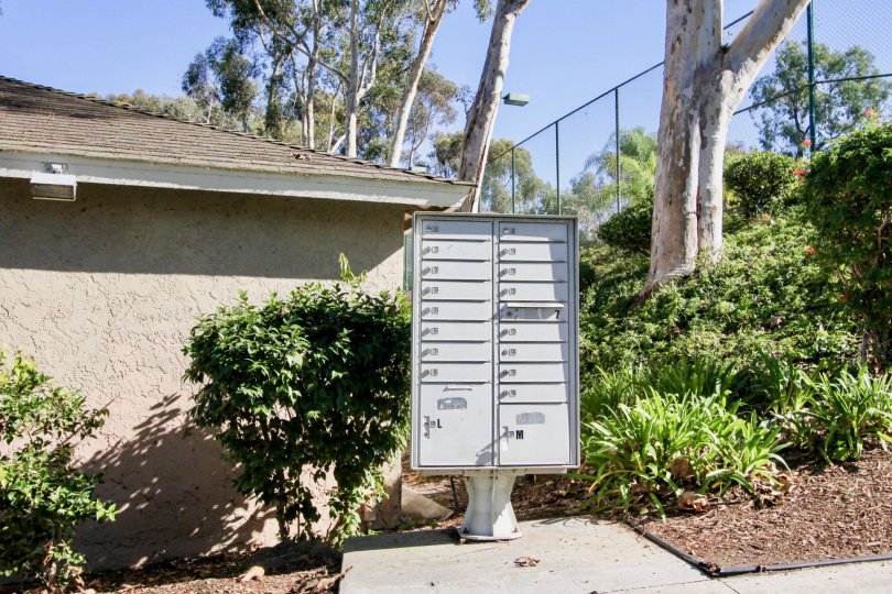Mailbox on a sunny day in The Park in front of bushes