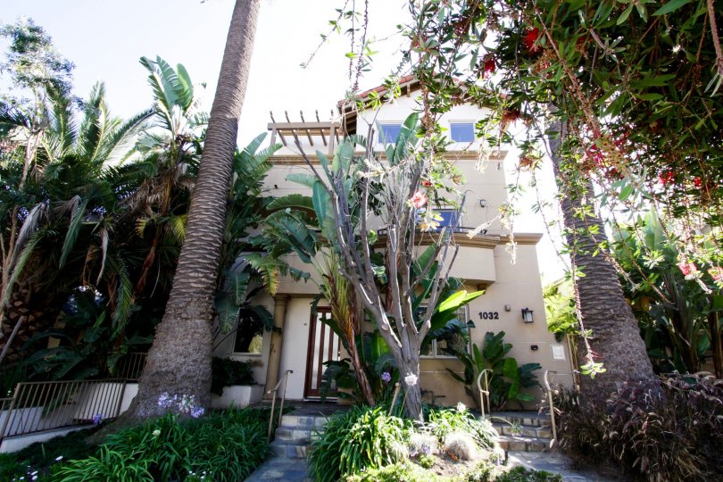Third Street Townhomes Condos, Lofts & Townhomes For Sale | Third ...