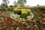 Central Park is a nostalgic community in Murrieta CA