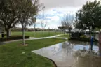 Central Park residents enjoy a large grass field for activities