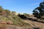 Copper Canyon features many community amenities for its residents
