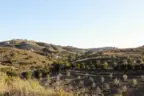 Many De Luz homes feature private avocado groves