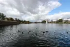 At the west end of Harveston lake sits a large fountain