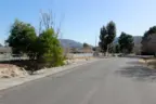 There are many ranch style homes with animals in Los Ranchitos