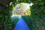 Enjoy miles of walking paths in Paloma Del Sol