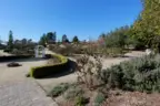 Rose garden located within the community of Santiago Estates