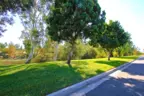 Mature landscaping and trees in the greenbelt of The Villages