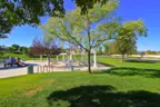 One of many parks in Vail Ranch in Temecula