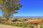 Rolling hillside views in Valdemosa in Temecula