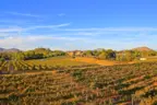 One of the many wineries in Temecula