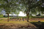 One of dozens of Wineries in Temecula Ca