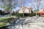 The community BBQ at Laurel Creek in Temecula Ca