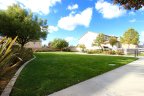 All of the landscaping within Adeline's Farm was well thought out, and kept in impeccable condition