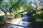 Take the dog for a walk on a walking path in Heritage Lake