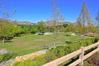 Enjoy a picnic under the shade of a tree at Murrieta Oaks