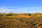 One of the many wineries in Temecula