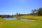 Man Made Lake off the golf course at The Colony
