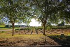One of dozens of Wineries in Temecula Ca