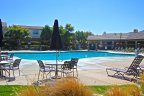Take a dip in the pool at Wolf Creek