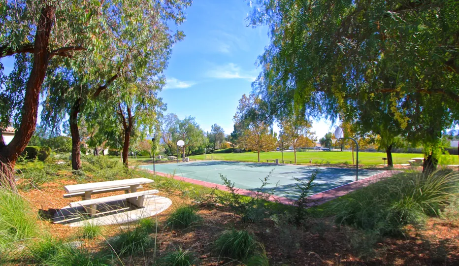 Play a game of hoops in Vintage Hills