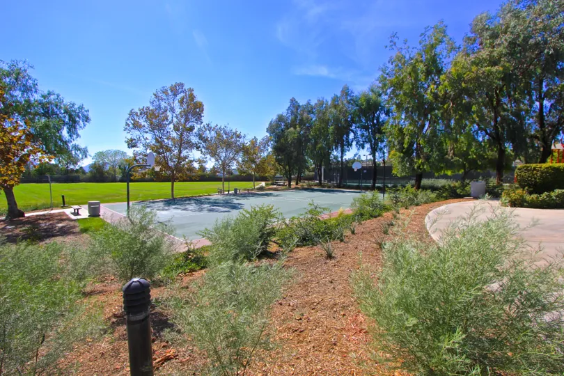 Take a dip in the pool at Vintage Hills