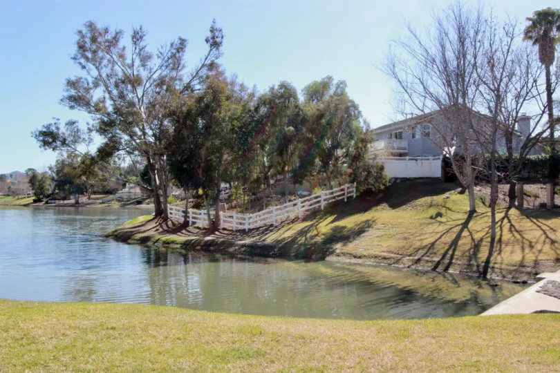 The shore by the lake at Lake Village
