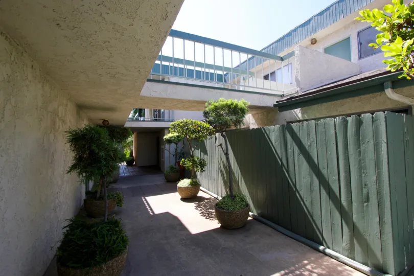 The fence around the units in 330 N Chapel Ave for privacy