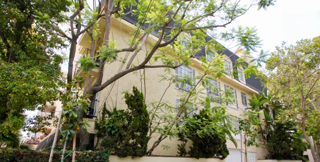 THE TREES TAKE PLASE IN THE FRONT OF THE APPARTMENT. ITS VERY BEAUTIFUL SCENORY.