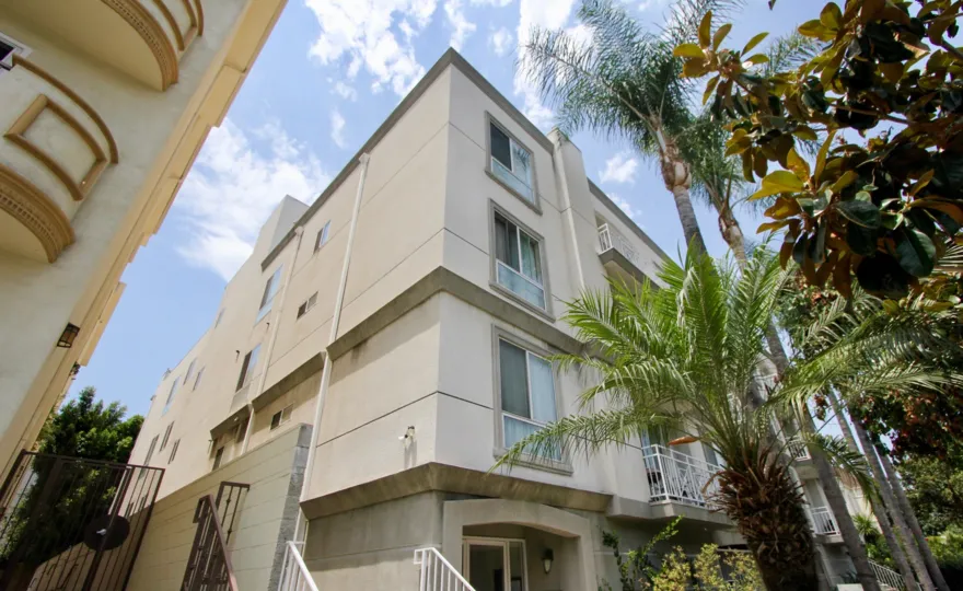 THE TREES TAKE PLACE IN THE FRONT OF THE APARTMENT. ITS VERY BEAUTIFUL.