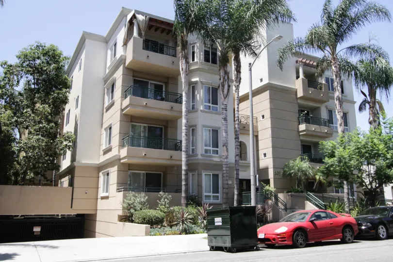 The palm trees ouside the Arnaz Grove in Beverly Center