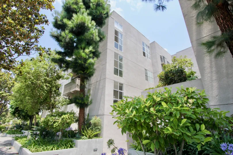 Look over to the righ of the building and see the beautiful park and beach.