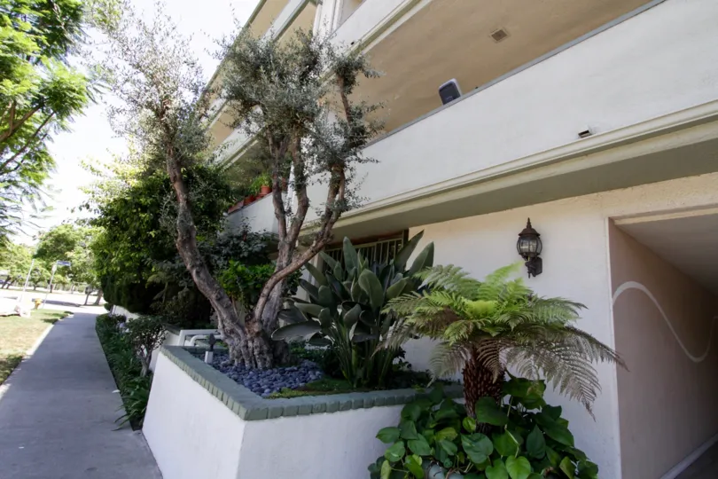 The landscaping around Burton Terrace