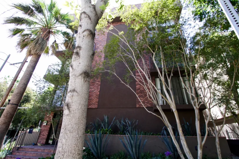 The landscaping at Chalmers Wooster Plaza