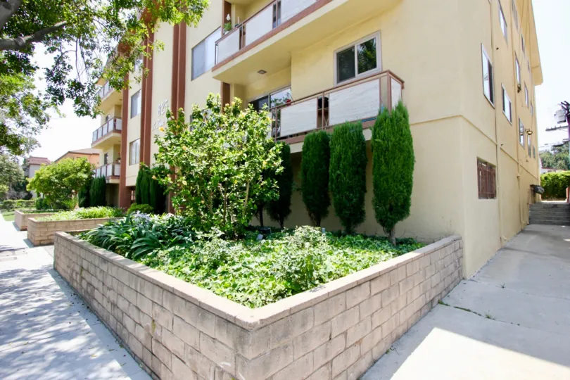 THE TREES TAKE PLACE IN THE FRONT OF THE APARTMENT. ITS VERY BEAUTIFUL.