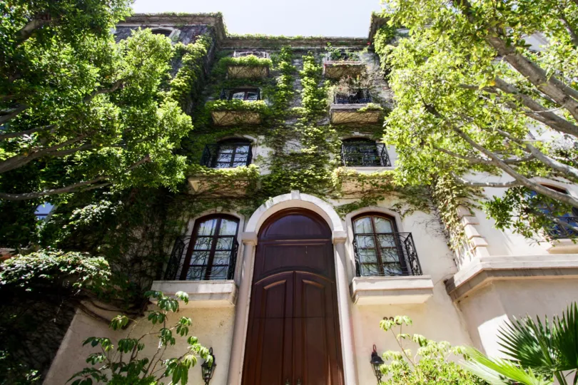 The greenery seen on the La Faubourg On Swall