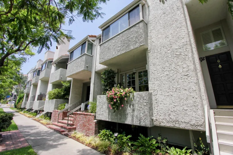 Gray painted houses rich in plantation and greenery.