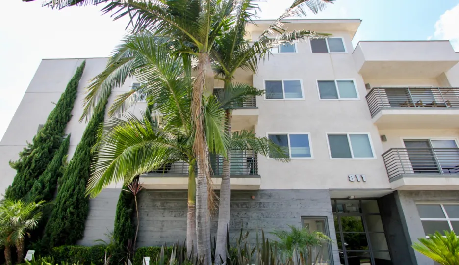 Lush greenery of the shady building that is the 811