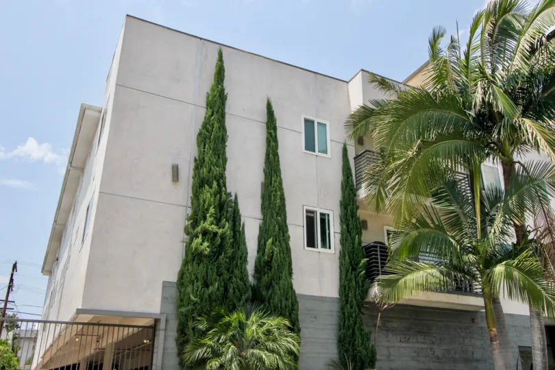 Building in beverly center with huge pines at its entrance and a trical palm tree